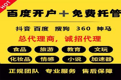 某品牌SEM广告投放的优化过程与效果